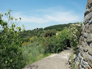 Ferienhaus Pelago Umgebung 18