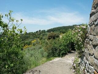 Vakantiehuis Pelago Omgeving 18