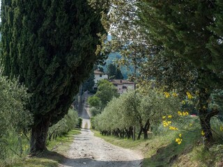 Maison de vacances Pelago Environnement 19