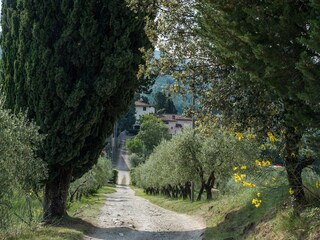 Casa per le vacanze Pelago Ambiente 20