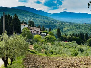 Casa per le vacanze Pelago Ambiente 18