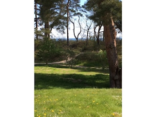 Blick von der Terrasse zur Ostsee