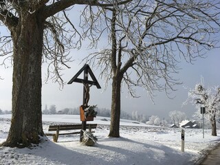 Apartamento de vacaciones Herrsching Entorno 25