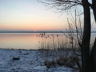 Winter am See