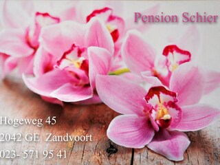 Casa per le vacanze Zandvoort Documento 44