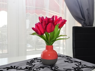 Casa per le vacanze Zandvoort Caratteristiche 11