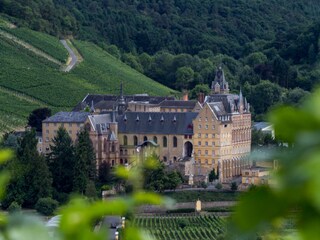 Appartamento per vacanze Bad Neuenahr-Ahrweiler Ambiente 18