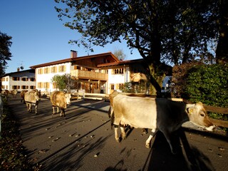 Appartamento per vacanze Schwangau Registrazione all'aperto 5