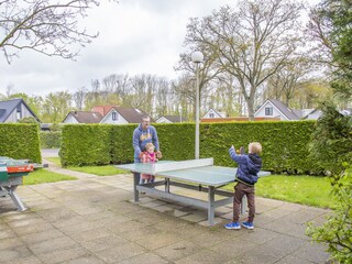 Vakantieappartement Zoutelande Omgeving 30