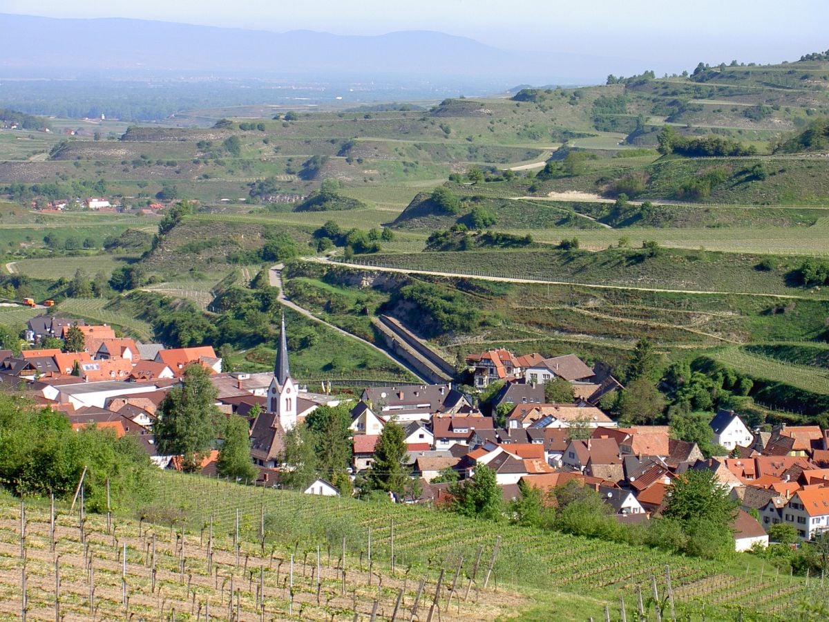 Ferienwohnung Gästehaus Karle, Vogtsburg, Frau Eva Küchle