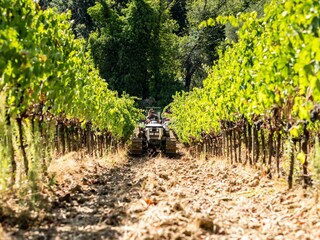 Vakantieappartement Montaione Omgeving 32