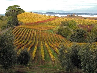 Herbstimmung rund um Orzale