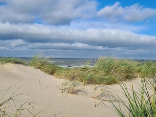 Casa per le vacanze Callantsoog Ambiente 13