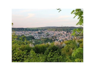 Ferienwohnung Hillscheid Umgebung 6