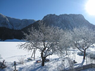 Blick vom Balkon