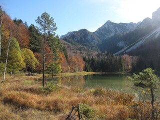 Herbstwandsserung zum Frillensee