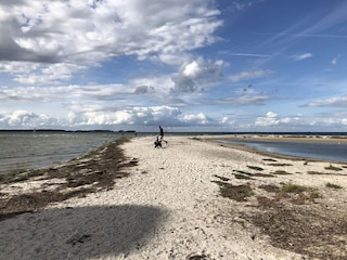 Holiday house Trappenkamp Environment 30