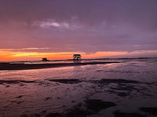 Holiday house Trappenkamp Environment 34