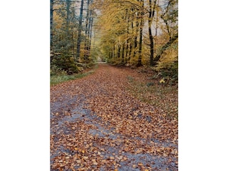 Holiday house Trappenkamp Environment 38