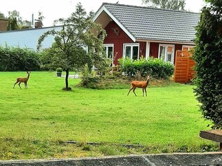 Casa de vacaciones Sarzbüttel Entorno 27