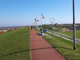 Casa de vacaciones Sarzbüttel Entorno 21
