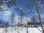 Blick auf Garten und Haus