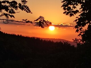 Vakantieappartement Winterberg  34