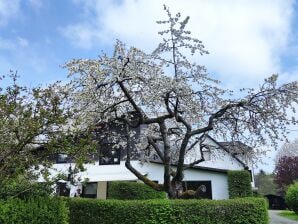 Ferienwohnung Sauerland-Alm - Winterberg - image1