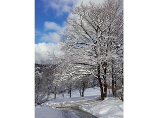 Appartement de vacances Winterberg Enregistrement extérieur 4