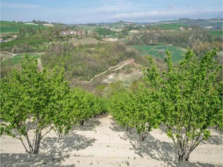 Apartment Belvedere Langhe Umgebung 34