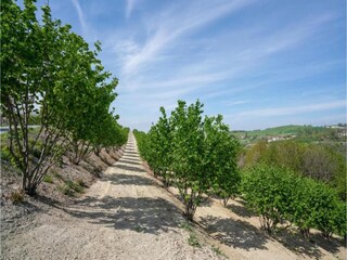 Apartamento Belvedere Langhe Entorno 24