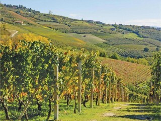 Appartement Belvedere Langhe Omgeving 33