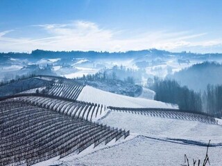 Apartment Belvedere Langhe Umgebung 36