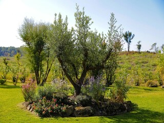 Villa Tarnos Grabación al aire libre 7