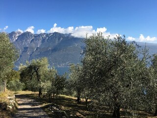 Appartamento per vacanze Tignale Ambiente 16