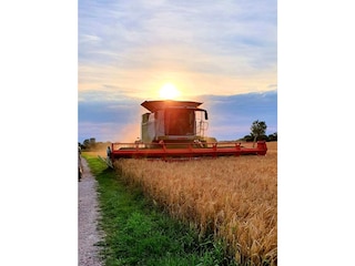 Ferienhaus Gammendorf Außenaufnahme 6