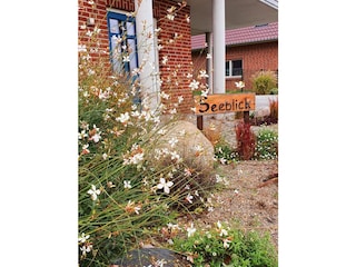 Ferienhaus Gammendorf Außenaufnahme 8