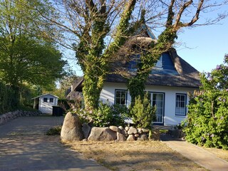 Holiday house Zempin Outdoor Recording 2
