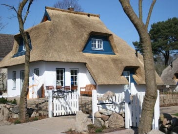 Holiday house Achterhus