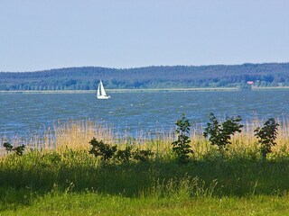 Segeln auf dem Achterwasser