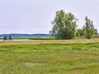 Fahrrad fahren am Achterwasser