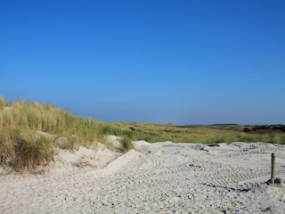 Dünen