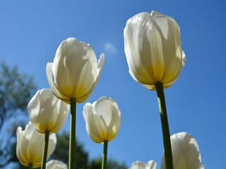 Maison de vacances Welt Environnement 30