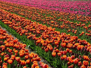 Maison de vacances Welt Environnement 34