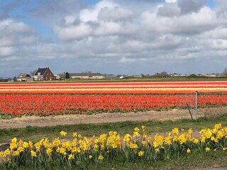 Vakantiehuis Welt Omgeving 20