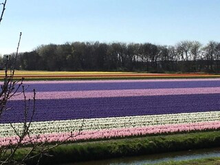 Vakantiehuis Welt Omgeving 35