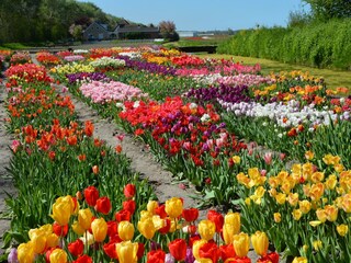 Vakantiehuis Welt Omgeving 25