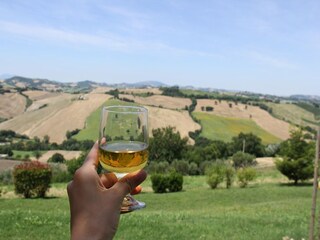 Appartamento Ancona (Stadt) Registrazione all'aperto 12