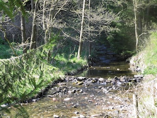 Frühlingserwachen