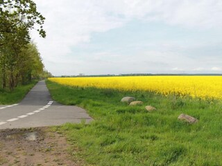 Vakantiehuis Damshagen Omgeving 21